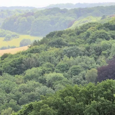 De La Ruine 法尔肯堡